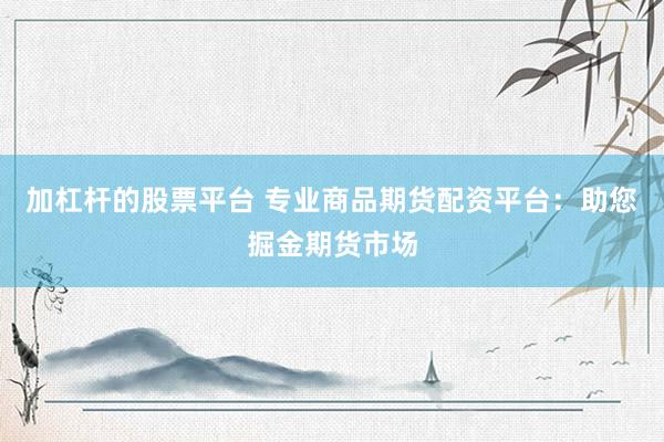加杠杆的股票平台 专业商品期货配资平台：助您掘金期货市场