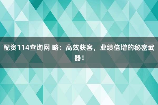 配资114查询网 略：高效获客，业绩倍增的秘密武器！
