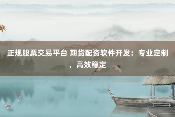 正规股票交易平台 期货配资软件开发:专业定制,高效稳定