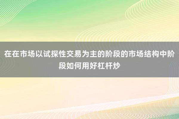 在在市场以试探性交易为主的阶段的市场结构中阶段如何用好杠杆炒
