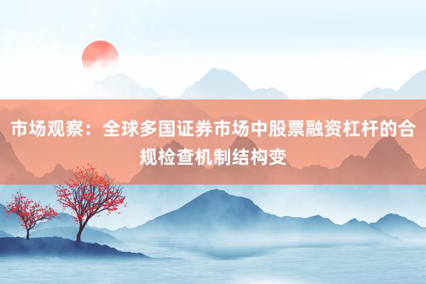 市场观察:全球多国证券市场中股票融资杠杆的合规检查机制结构变
