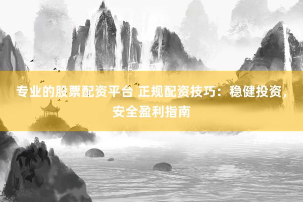 专业的股票配资平台 正规配资技巧：稳健投资，安全盈利指南