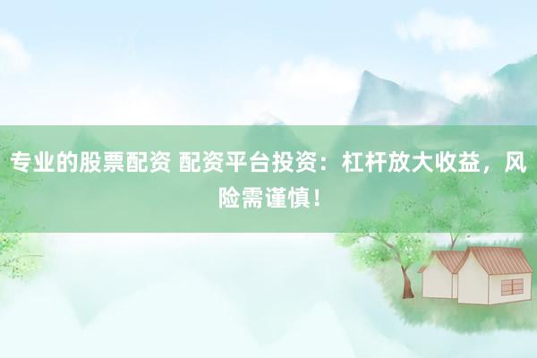 专业的股票配资 配资平台投资：杠杆放大收益，风险需谨慎！