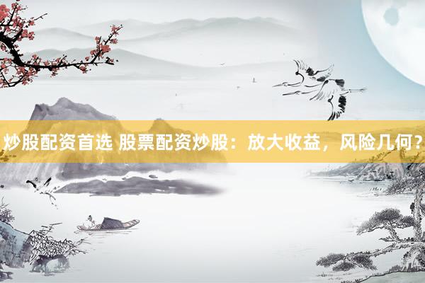 炒股配资首选 股票配资炒股：放大收益，风险几何？